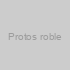 Protos roble